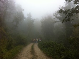 Wanderung mit Wolf Dieter Storl