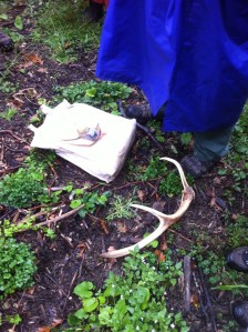 Wolf-Dieter Storls Utensilien