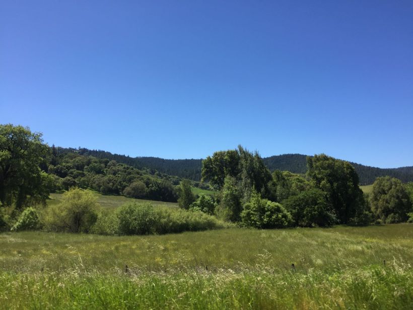 der_kalifornische_odenwald